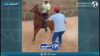 خيل كاد ان يقتل شاب