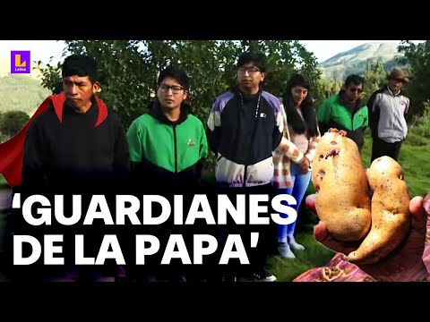 La valiosa labor de 'Los Guardianes de la Papa' y su lucha por preservar este tubérculo en Perú