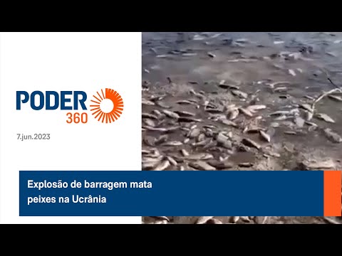 Explosa?o de barragem mata peixes na Ucra?nia