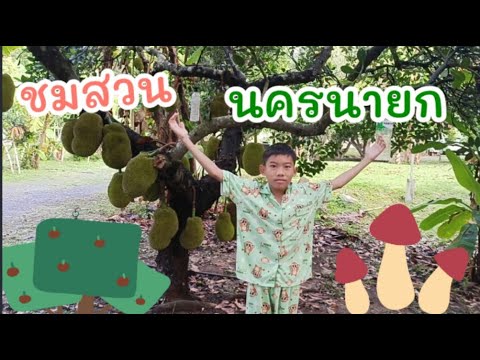 Bangsocool|พาชมสวนนครนายก!