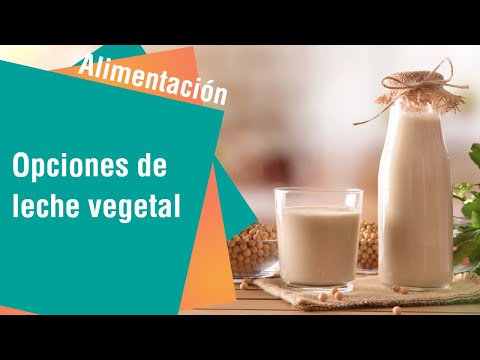 Opciones de leche de origen vegetal | Alimentación Sana