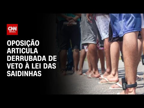 Oposição articula derrubada de veto à “Lei das Saidinhas” | CNN NOVO DIA