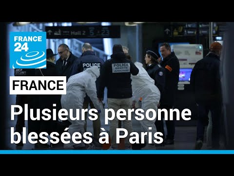 Plusieurs personnes blessées à l'arme blanche gare de Lyon à Paris, un homme interpellé • FRANCE 24