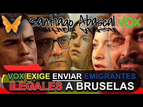 ? VOX: Abascal, Pepa Millán y Ester Muñoz del PP  se unen para UNDIR a Sánchez y a Bolaños ??