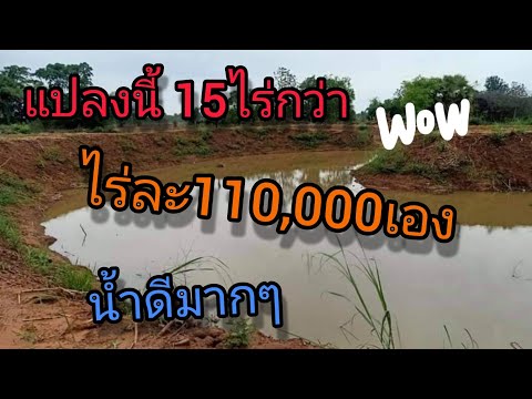 (ปิดการขาย)ที่ดินจังหวัดชัยภูม (ปิดการขาย)ที่ดินจังหวัดชัยภูม