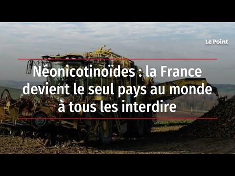 Néonicotinoïdes : la France devient le seul pays au monde à tous les interdire