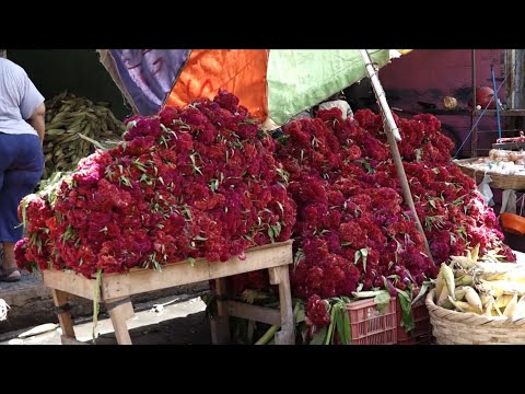 Aumenta demanda de flores en el mercado Ernesto Fernández de Masaya