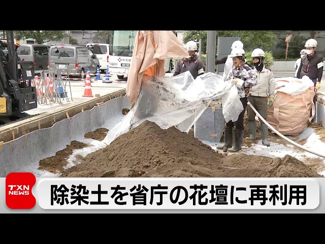 Image of Tanah Terkontaminasi Fukushima Digunakan Kembali di Bedeng Bunga Kantor Pemerintah