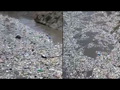 Captan gran cantidad de basura en el río Motagua