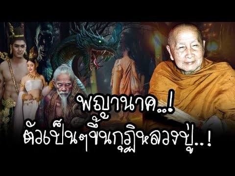 พบพญานาคตัวจริงบนกุฏิหลวงปู่