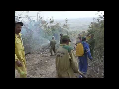 Reclaman autoridades forestales atender la prevención de incendios