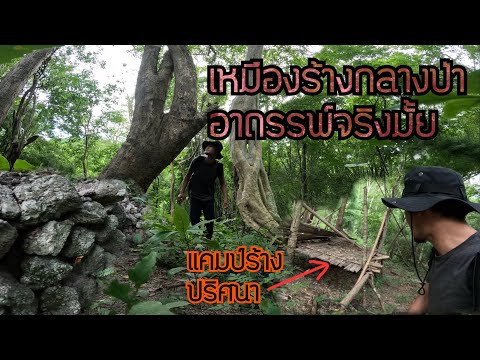 สำรวจเหมืองร้างกลางดงทางสัตว์ใ