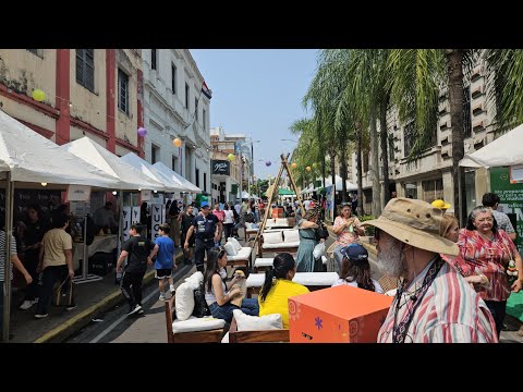 ¡Espectacular Palmeada en Calle Palma! Celebrando la Primavera y el Día de la Juventud 