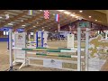 Show jumping horse Springpaard 10 jaar oud