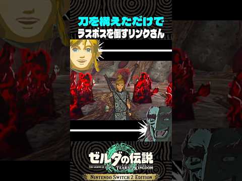 刀を構えただけでラスボスを倒すリンクさん【ゼルダの伝説】