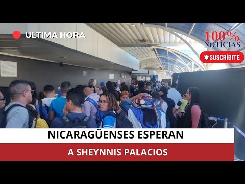 Nicaragüenses esperan en aeropuerto a Sheynnis Palacios quien llega a Costa Rica