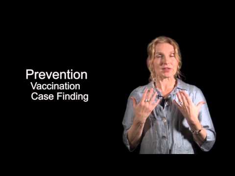 KIXGLOBLT116-V004400