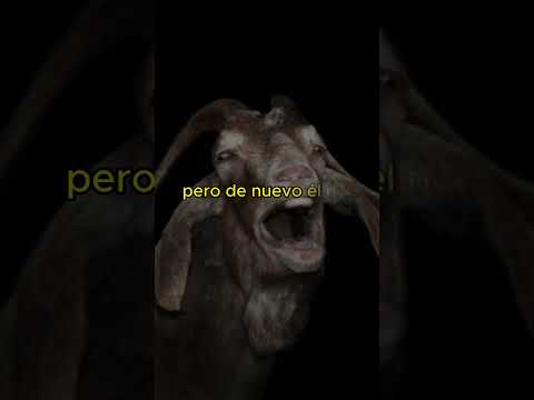 ¿Si un animal te habla... Le contestas?  | #mundocreepy #animalesquehablan #historias #cabras