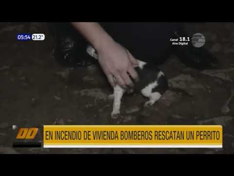 Bomberos rescatan a un perrito de incendio en San Lorenzo