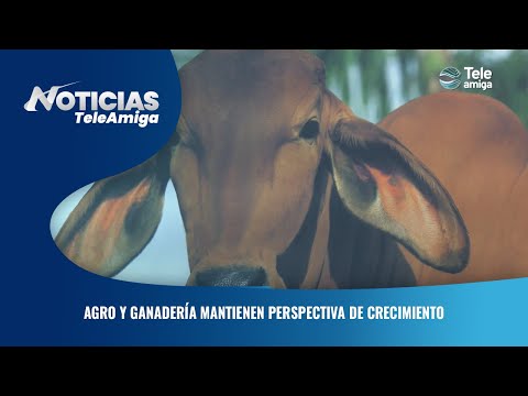 Agro y ganadería mantienen perspectiva de crecimiento - Noticias Teleamiga
