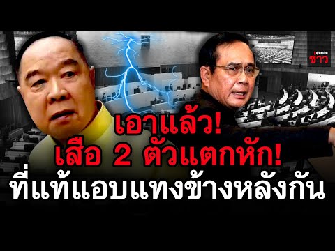 ข่าวล่าสุด!-เอาแล้ว!-เสือสองตั ข่าวล่าสุด!-เอาแล้ว!-เสือสองตั