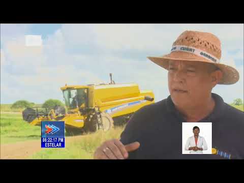 Empresa Agroindustrial del oriente de Cuba adquiere cosechadoras de arroz con financiamiento propio