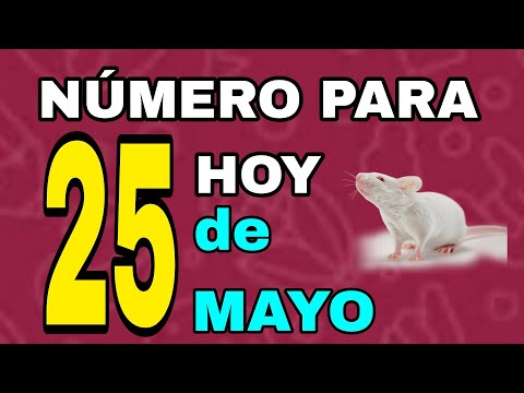 NÚMEROS PARA HOY 25 MUY BUENOS PARA EL MES DE MAYO BENDICIONES