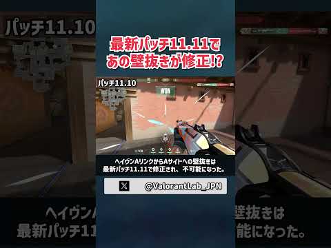 最新パッチ11.11であの壁抜きが修正された！？