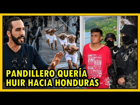 PNC y Faes continúan con Cerco en Chalatenango | P4ndi11ero es detenido en Honduras