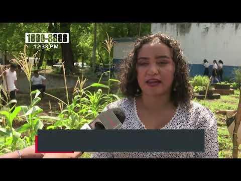 Nicaragua proyecta instalar alrededor de 1 mil 150 huertos escolares