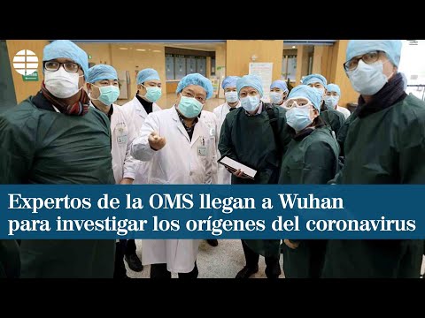 Expertos de la OMS llegan a Wuhan para investigar los orígenes del coronavirus
