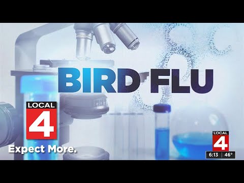 Bird Flu resurfaces nationwide