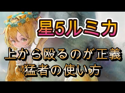 星5ルミカを使いこなすランカーの激アツバトル2選！速パのキーキャラか！？【メメモリ】