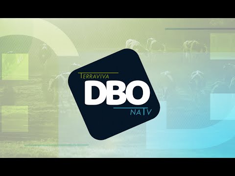 [AO VIVO] DBO NA TV | 08/10/2024