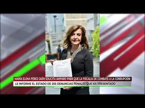 María Elena Pérez-Jaén solicita amparo