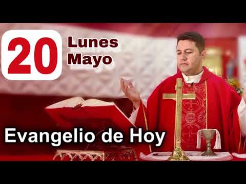 EVANGELIO DE HOY  LUNES 20 DE MAYO 2024 (San Juan 19, 25-34) | PADRE RICARDO PRATO