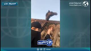 انتبهي من حقد البعير