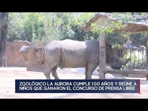 Recuerdan llegada de la elefanta Mocosita al Zoológico La Aurora