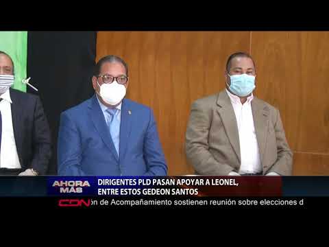 Dirigentes PLD pasan apoyar a Leonel Fernández, entre estos Gedeón Santos