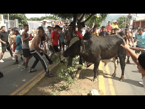 Granada celebra corrida de toros en honor a la Virgen de la Asunción