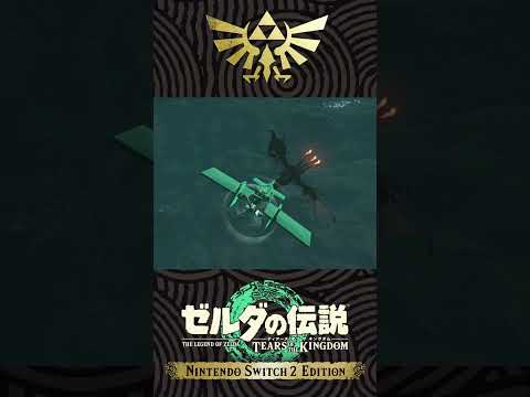 【ティアキン】黒龍迎撃 0-公開中-