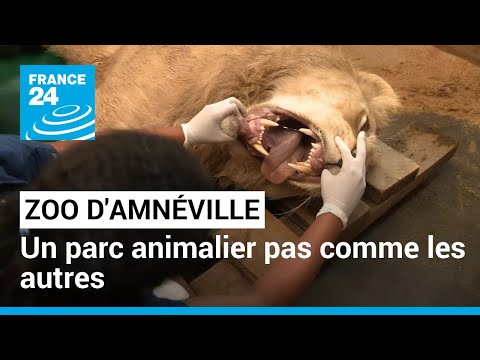 Zoo d'Amnéville : aux petits soins des animaux • FRANCE 24