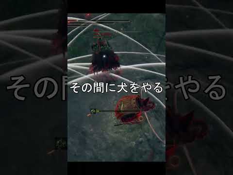 エルデンリング 地獄の侵入  胸糞悪い道場トラップ！ ELDEN RINGDLC #elden #eldenringdlc #ダクソ3