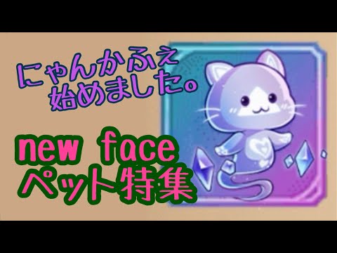 【キノコ伝説】ペットのあれこれ活用法、にゃんかふぇ。【知損まとめ】