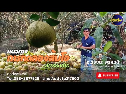 แนวทางการทดลองส้มโอสูตรธงชนะ|