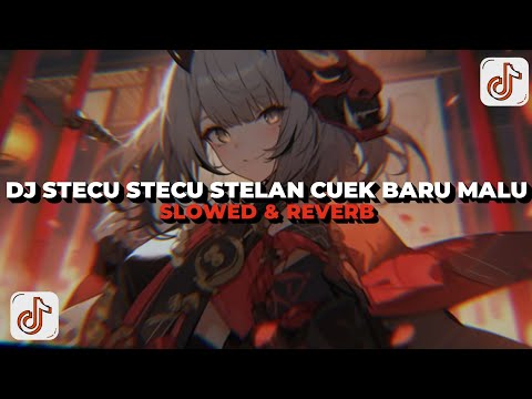 DJ STECU STECU SETELAN CUEK BARU MALU (Slowed & Reverb) Viral Tiktok 🔥😈