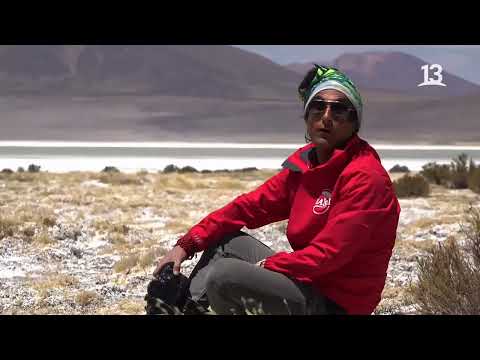 Claudio Iturra conoce Salar de Huasco tras su recorrido en el norte | Ruta 5 | Canal 13