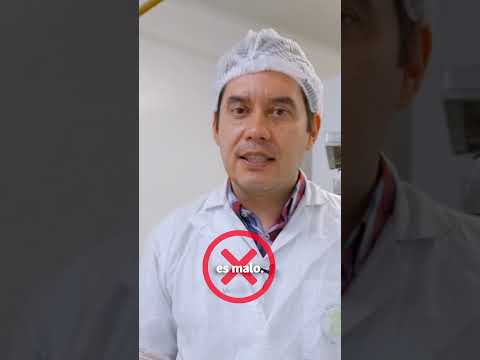 ¿Qué es el gluten? ¿Para qué sirve? ¿Es malo para el cuerpo?