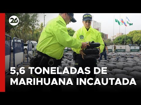 COLOMBIA | La Policía incauta 5,6 toneladas de marihuana en un barrio de la ciudad de Cali