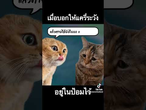 เอ้า!!